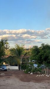 WhatsApp Image 2026-08-12 at 17.42.15 (2)